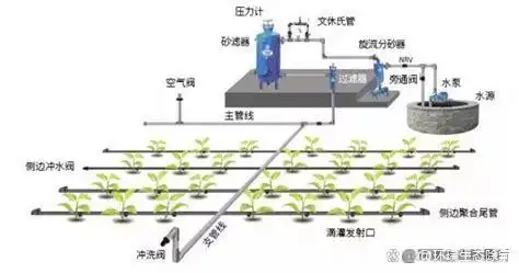 微信图片_202505271705272.png